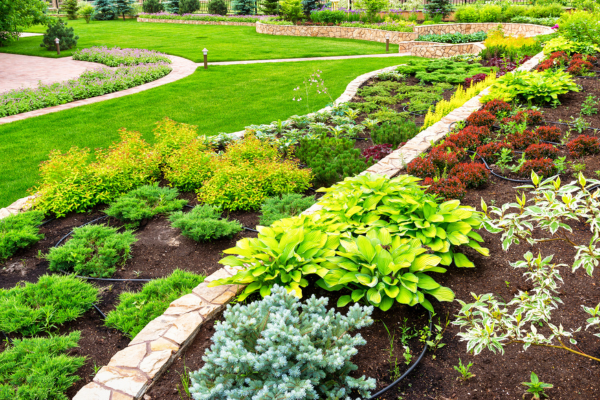 Healthy, Drought-Tolerant, and Sustainable Landscapes