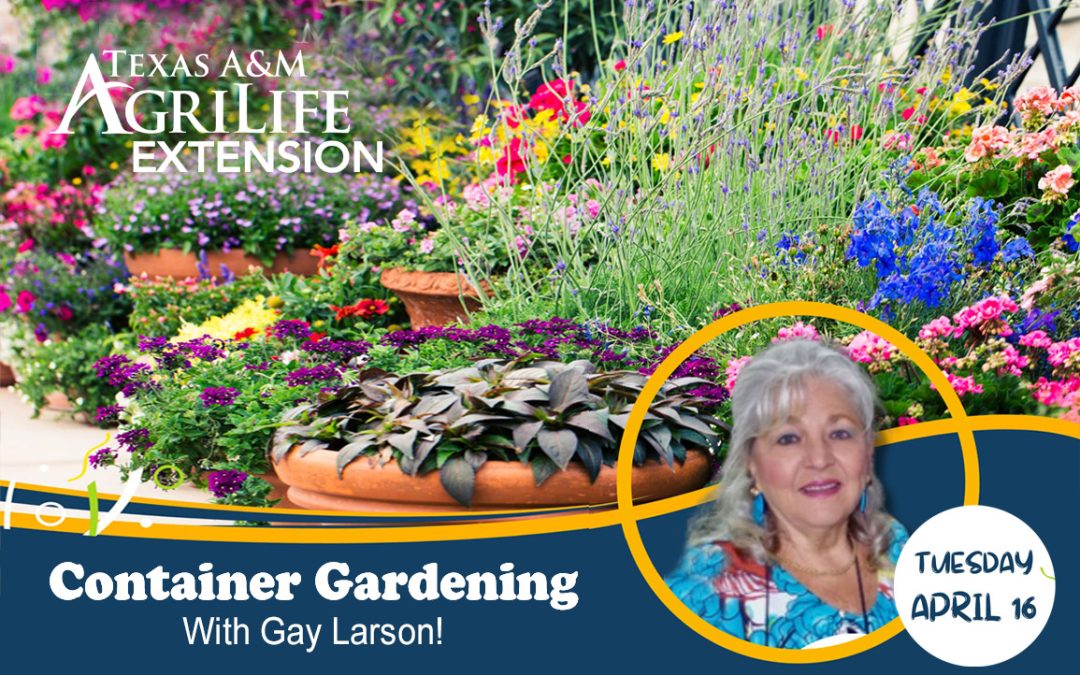 Container Gardening with Gay Larson